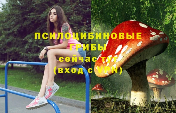 Альфа ПВП Дмитриев