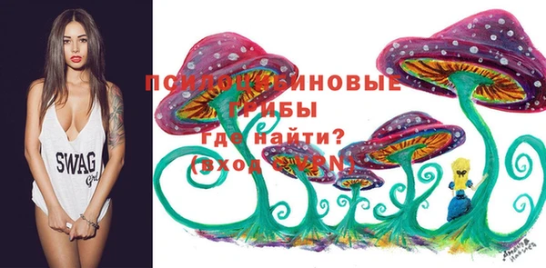 Альфа ПВП Дмитриев